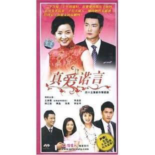 真爱诺言 林江国 正版 王美雪 李进荣 15DVD 原装 珍藏版