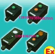 户外防水防爆防腐主令控制器ZXF8050-A2急停开关各型号规格全有的