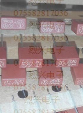 TE5 UL微型 特快熔断方形保险丝396系列 T630MA 原装WICKMANN