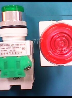 带灯按钮开关 交流220V  (红色)  电器