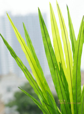 手感仿真剑兰叶蕙兰叶大叶绿植植物假兰花叶子长条叶蝴蝶兰绿色叶