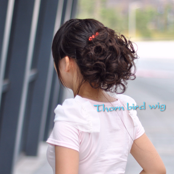 Extension cheveux - Chignon - Ref 247954 Image 1