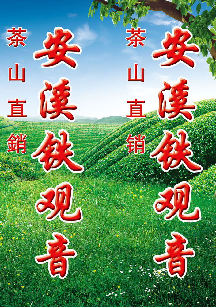 617海报印制海报展板素材937铁观音茶叶宣传