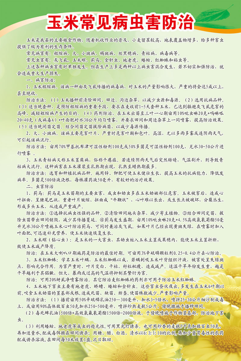 海报印制325常见海报展板素材163玉米常见病虫害知识宣传栏