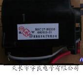 21953 JF0501 适用于海信高压包BSC27 N2235