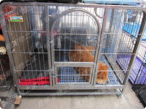 加重方管笼 狗笼子 猫笼子 大型犬笼 中型犬笼 真正的加重加厚