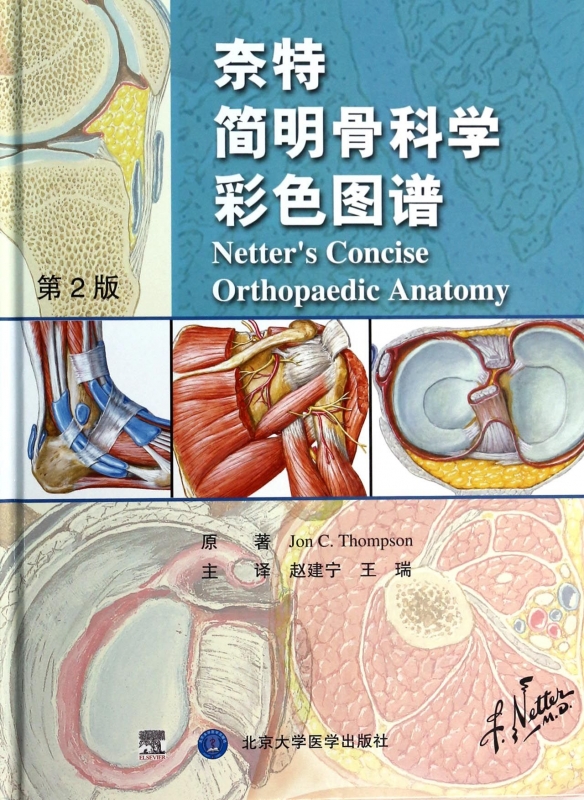 奈特简明骨科学彩色图谱 di2版 精装 骨科 医学 书籍 骨科图谱 图书 北京大学 奈特简明骨科学图谱 奈特人体彩色解剖图谱 书籍/杂志/报纸 医学图谱 原图主图