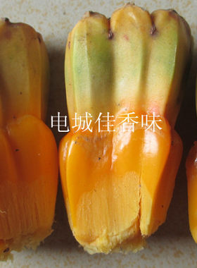 滴血莲花原籽菩提子野菠萝