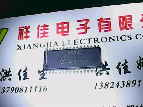【实体店】CS5301 质量保证