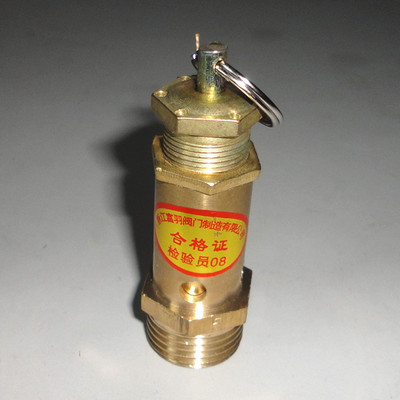 4分蒸汽发生器安全阀减压阀