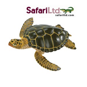 美国Safari正版仿真动物模型 绿海龟 小海龟 海龟幼崽CE认证