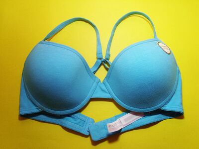 大码天蓝色光面文胸