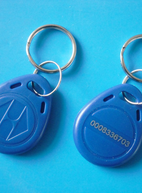 EM4305钥匙扣卡/EM4305扣卡/EM4305异形卡/EM4305空白卡