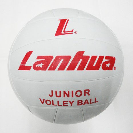 Ballon de volley-ball - Ref 2012187 Image 1