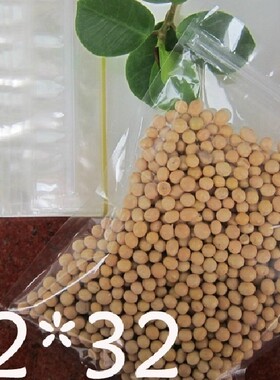 PET22*32cm高透明食品包装袋 拉骨袋 复合礼品袋 加厚自封袋 1个