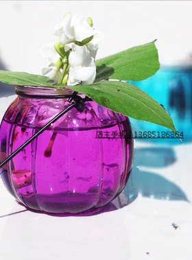 玻璃花瓶彩色南瓜吊瓶/水培瓶玻璃花盆阳台壁挂花瓶/花器促销