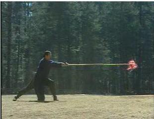 温庄《六合大枪》2张VCD 武术枪 太极枪教学少林枪术