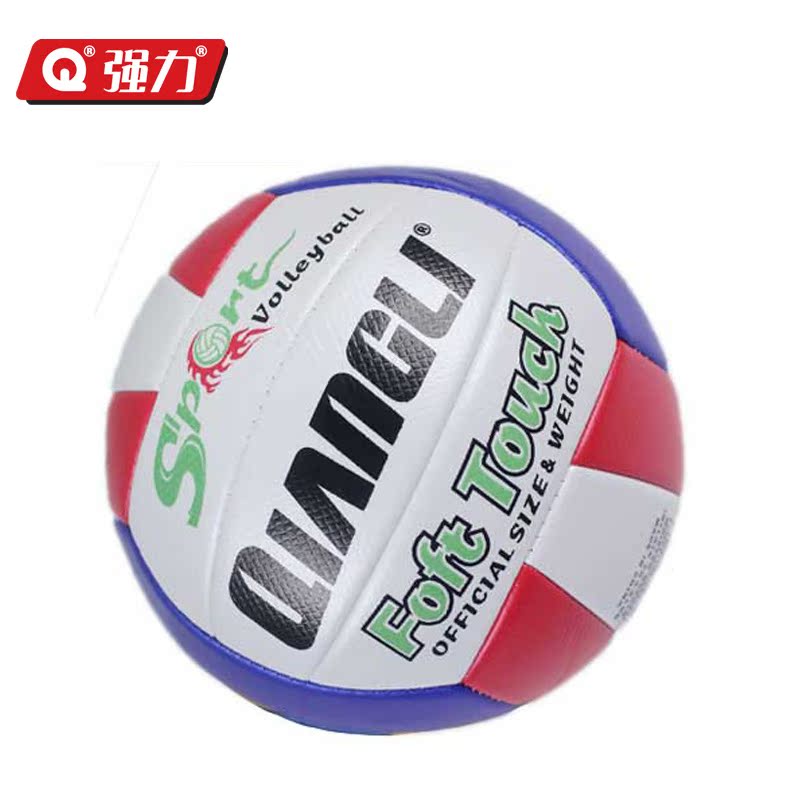 Ballon de volley - Ref 2013393 Image 1