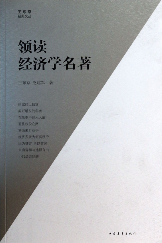 领读经济学名/王东京经典文丛正版书籍木垛图书