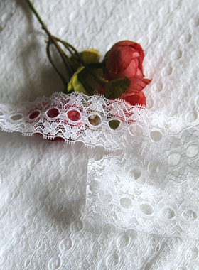 19D 客供   纯白色  可穿丝带的 蕾丝花边2.8cm宽2元1米