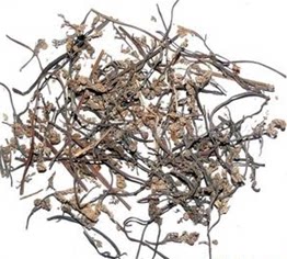 一斤包邮  泽漆 泽柒 500克 五朵云/猫眼草/五凤草/灯台草