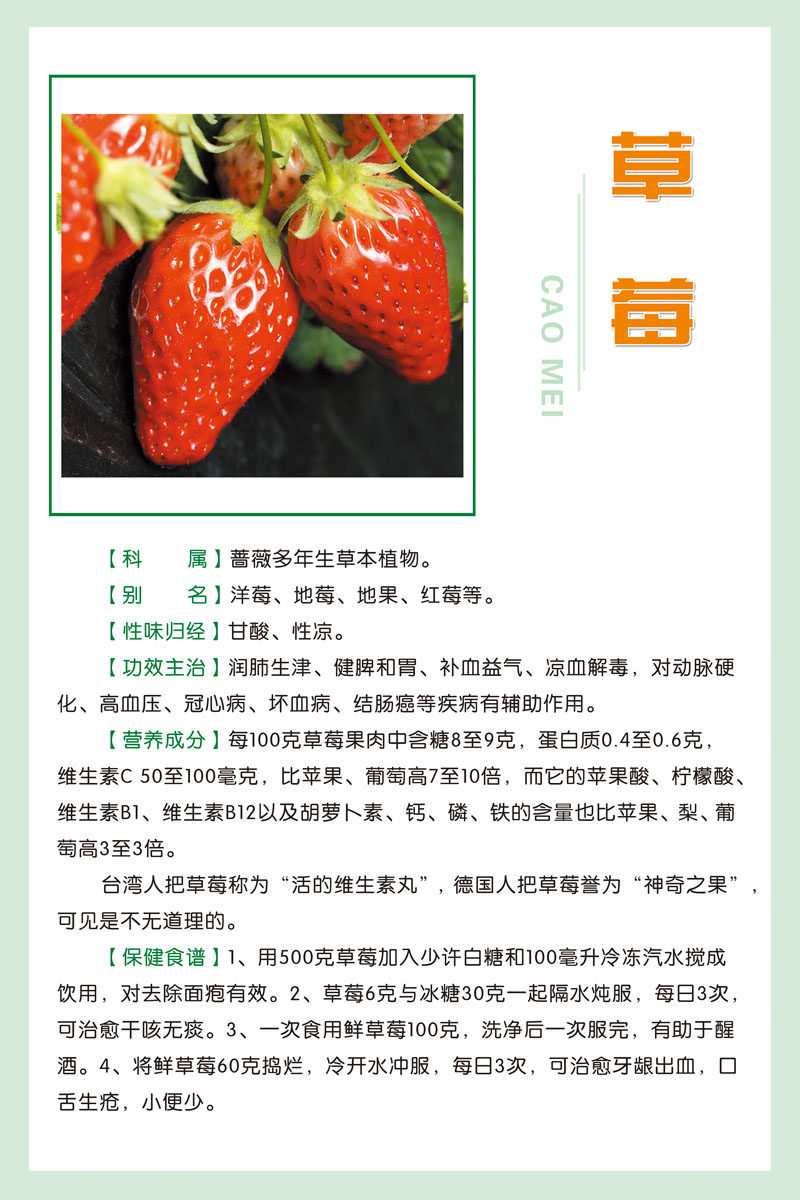 604海报印制海报展板素材669水果蔬菜草莓简介功效宣传版面