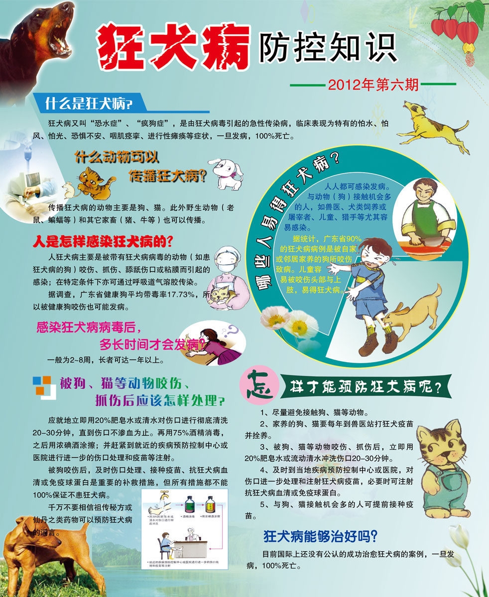 600海报印制海报展板素材176健康教育狂犬病防控知识