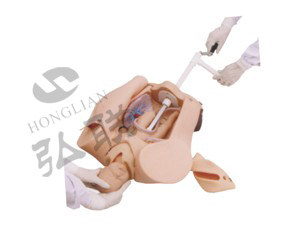 高级手摇分娩机制示教模型 GD/F53