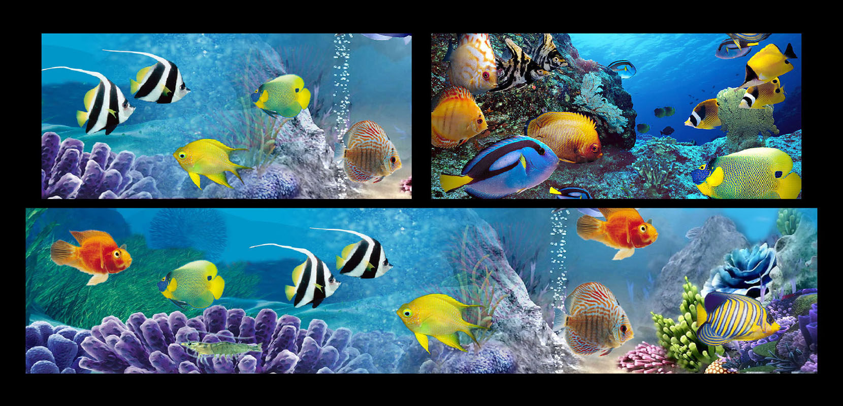 652海报印制定制展板素材677海底景观色图片生物水珊瑚海藻景