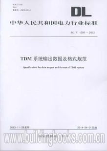 1255 2013 网络营销 规范 TDM系统输出数据及格式