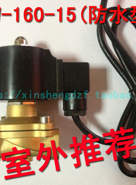 4分常闭防水电磁阀DN15室外电磁阀 2W-160-15 完全防水型水阀气阀