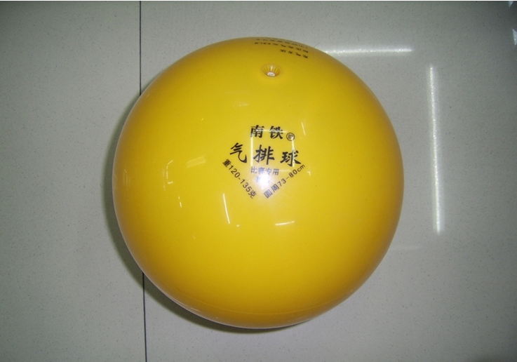 Ballon de volley - Ref 2012007 Image 1