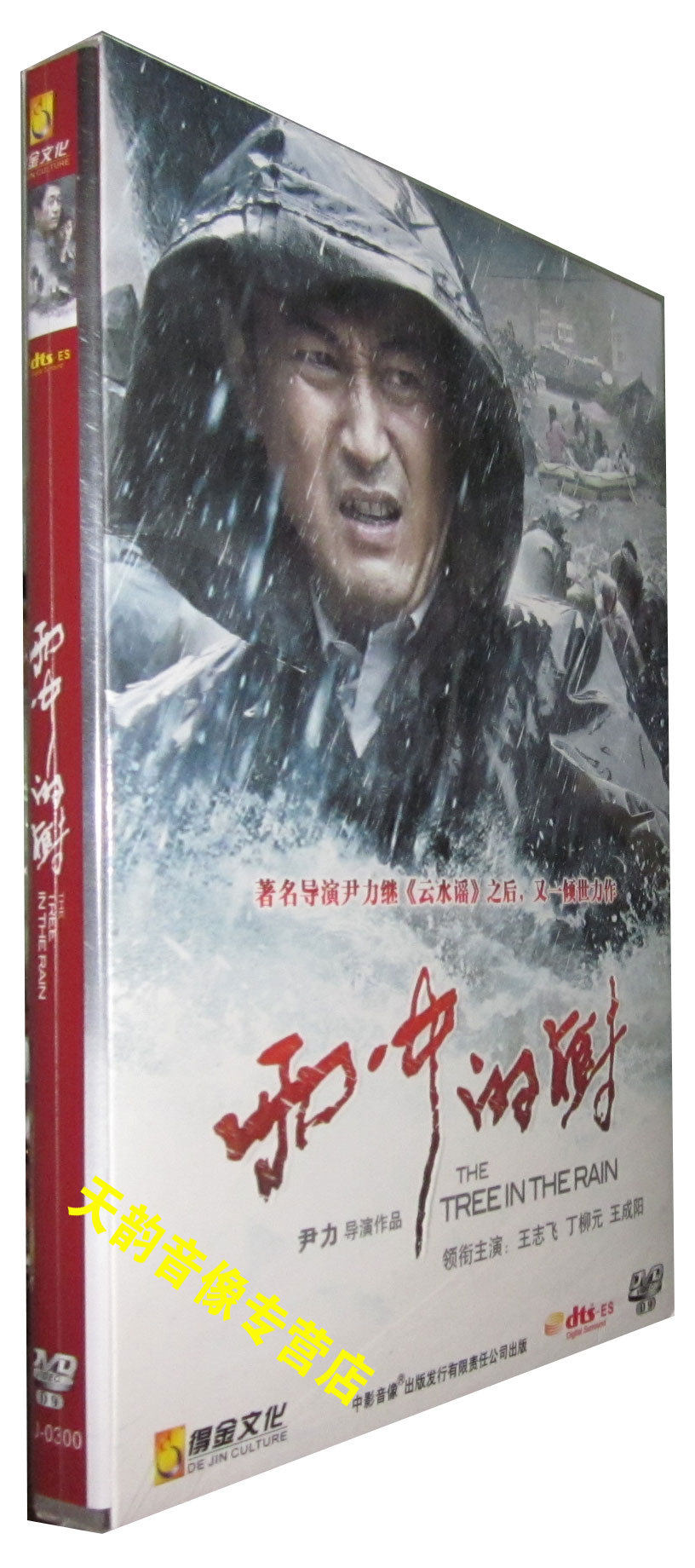 正版 电影雨中的树 dts 盒装dvd d9 王志飞 丁柳元 王成阳 尹力