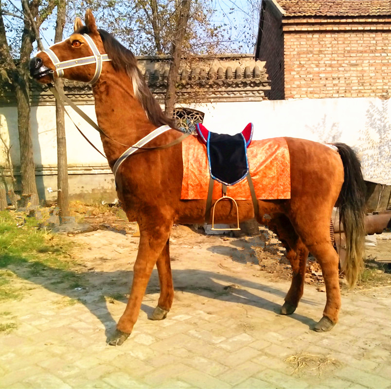 仿真马拍摄道具舞台场景摆设