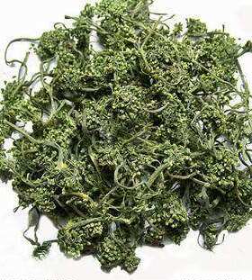 人参花茶 中药材新货 特等8年 长白山人参花蕾 人参花茶叶