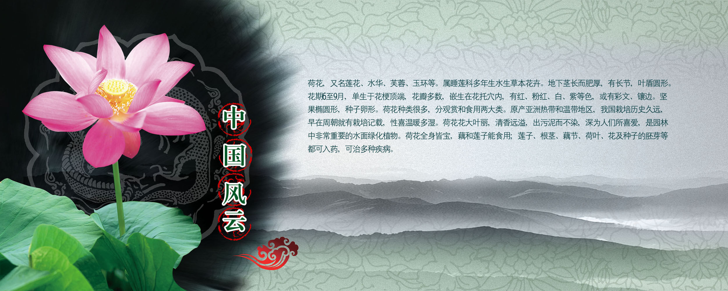 653海报印制定制展板素材729水墨荷花荷花简介挂画