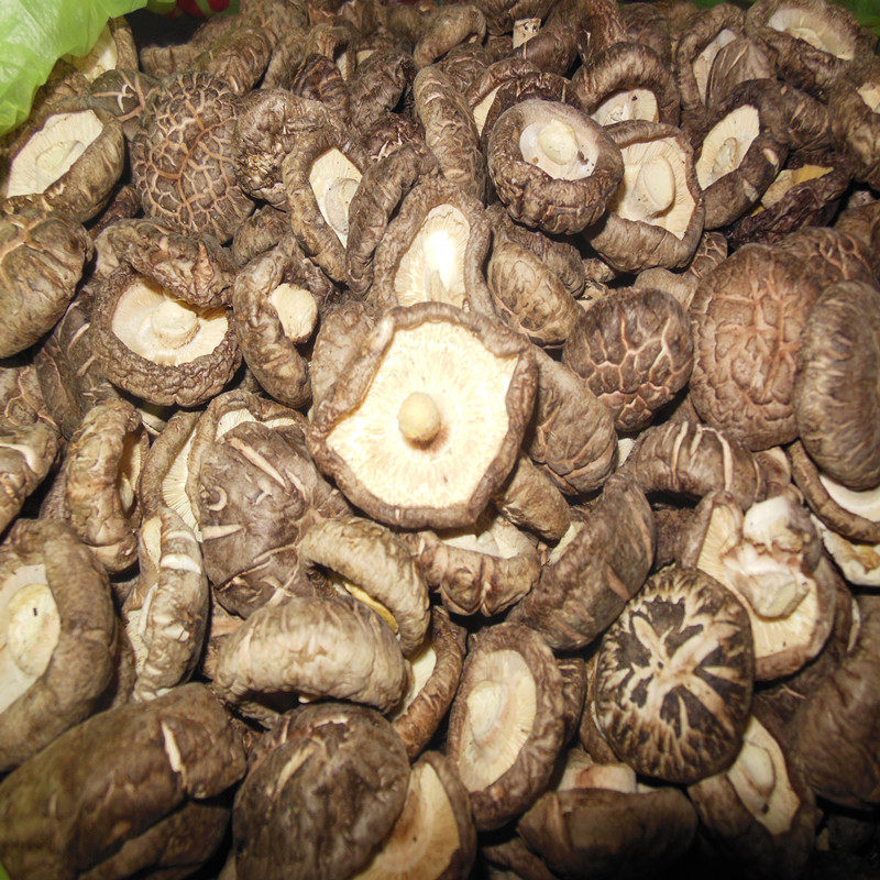 花菇干货野生东北冬菇大蘑菇下汤料配菜新货250g