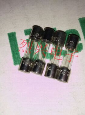 5X20玻璃保险丝管217.063 F63MA250V  快熔型 美国力特