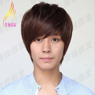 Perruque      cheveux raides Court - Ref 2613742 Image 1