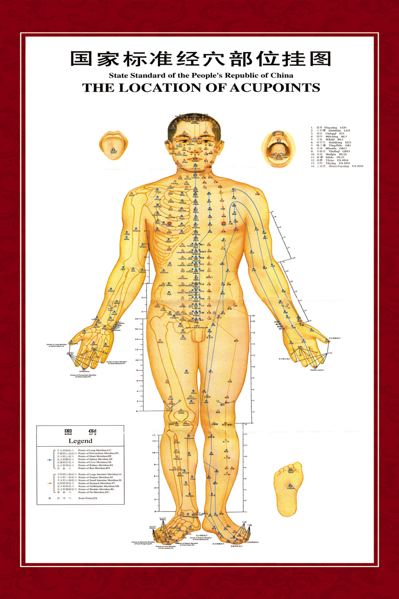 National standard Acupuncture Poster acupuncture Main and collateral channels acupoint Hanging picture Male front|chinese medicine poster Customizedin the Personalized custom/Design Services/DIY , Daily/Decorative custom , Photo/Poster printing  category - from Buy2taobao.com to provide professional Taobao agent buy service