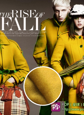 全毛羊绒布料面料顺毛水波纹羊绒姜黄色羊绒150CM159元米