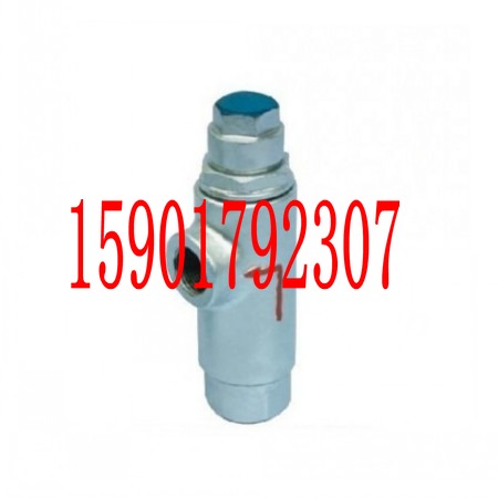 CS14H CS14F-16C-25C-40C 液体膨胀式变为管式蒸汽疏水阀 DN32