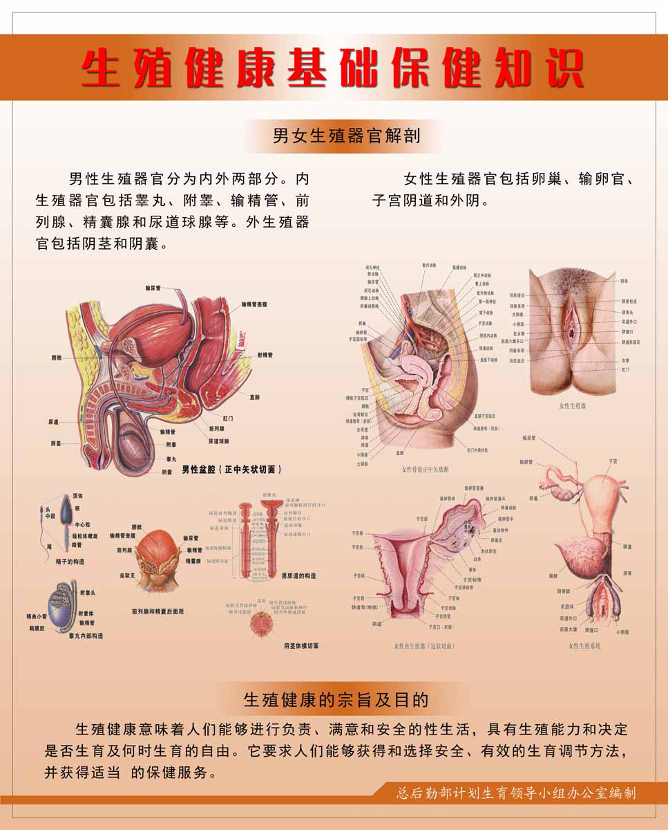 海报印制93素材健康展板178生殖健康基础保健知识