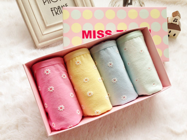 Slip BF solide physiologique en coton - Ref 639162 Image 1