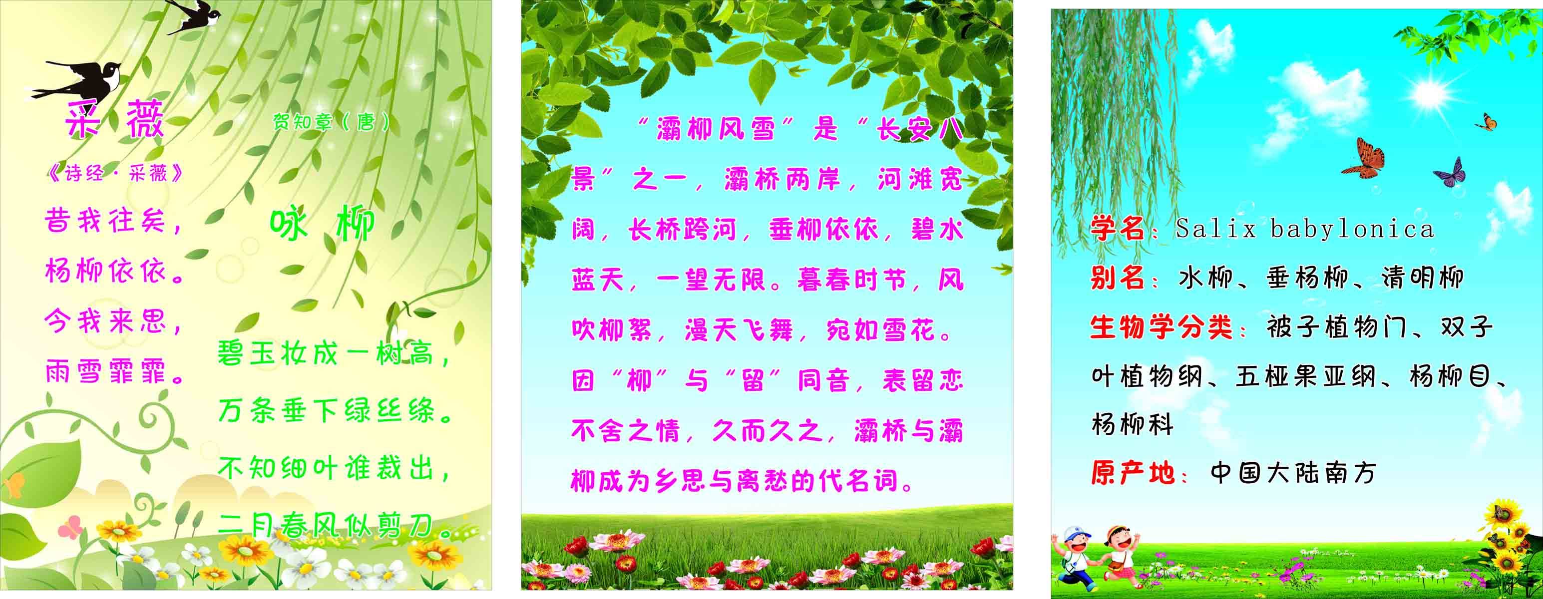 海报印制209海报展板素材(制作)2173柳树古诗介绍