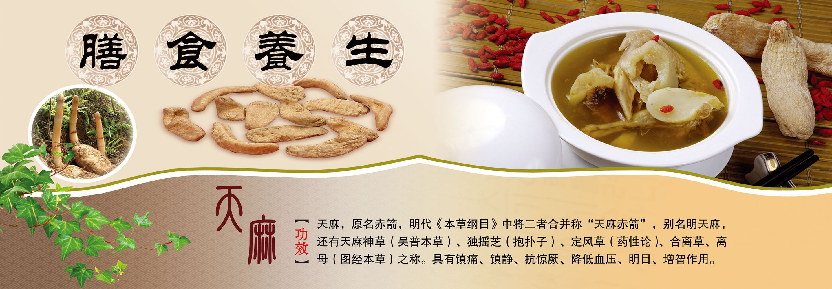 643海报印制海报展板素材852膳食养生天麻功效宣传