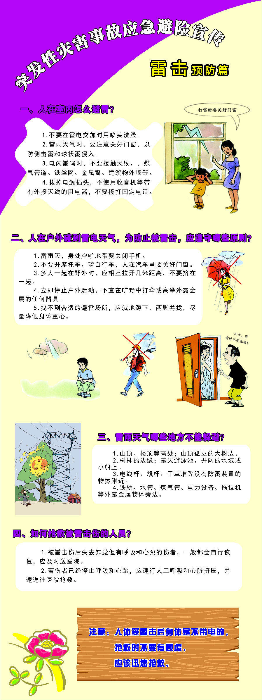 697海报印制展板贴纸挂图画写真喷绘218防灾减灾 雷击防篇