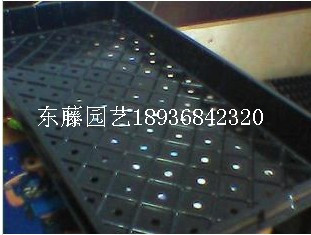 特价 批发/育苗盘/平盘/芽苗菜盘/育苗/穴盘/周转盘/芽菜盘
