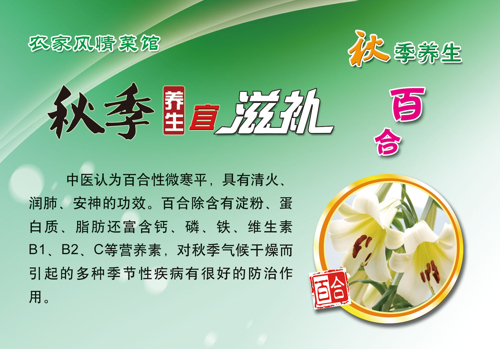 海报印制210海报展板素材(制作)1559秋季养生-百合的作用功效