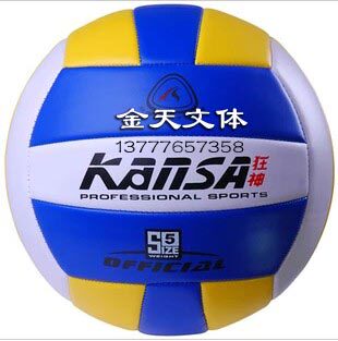 Ballon de volley-ball - Ref 2010523 Image 1